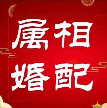 男女婚配|属相婚配,属相配对,夫妻五行属相配对,八字婚配测算